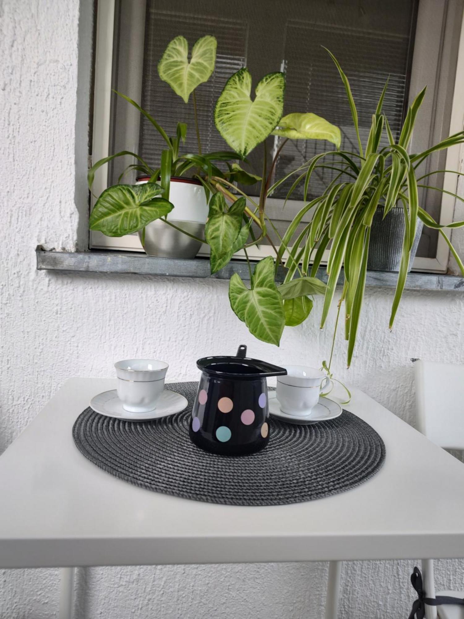 Twowheels Apartment - Apartment With Bicycles Novi Sad Buitenkant foto